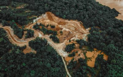 Companies must gain more insight to know whether their products lead to deforestation